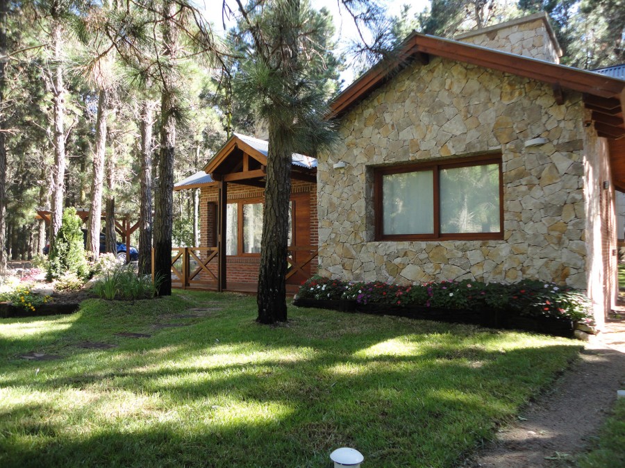 Casa Antü Pewen - Imagen 4